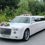 Фотогалерея 0