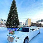 Фотогалерея 7